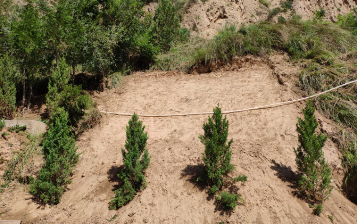 延安典型革命旧址